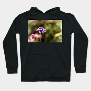 Pretty in Pink Hoodie